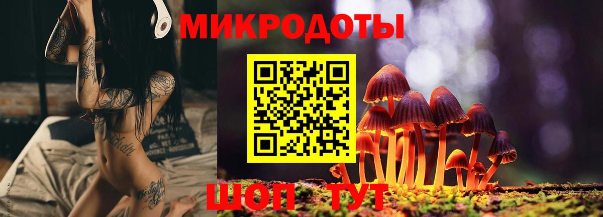 Галлюциногенные грибы ЛСД Вязники